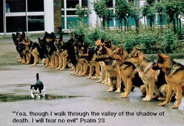 As I walk through the valley of the shadow of death...