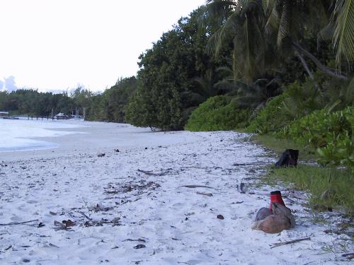 Relaxing on the Beach