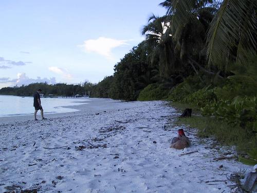 Relaxing on the Beach